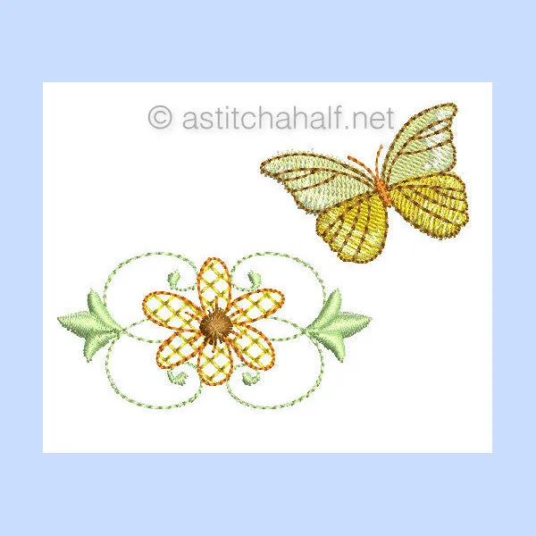 Lacy Daisy Outlines Combo